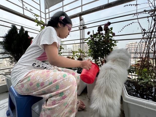 Taking care of the plants 🍀